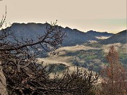 30 Pianta bruciata con vista sulla Val Taleggio con nebbie vaganti